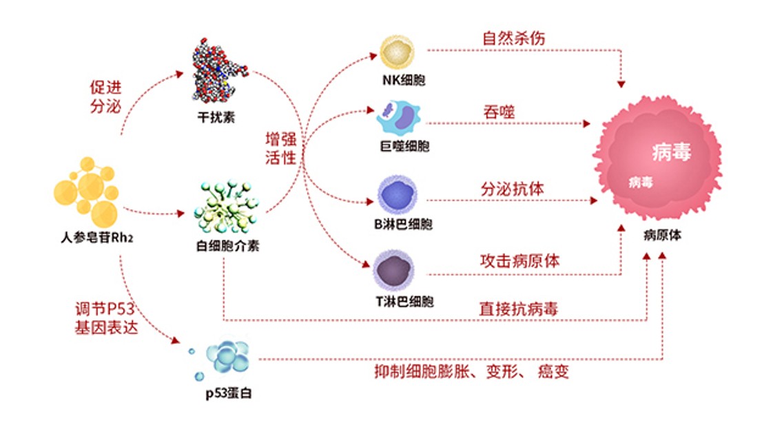 癌症患者该不该打新冠疫苗？不能打该怎么办？