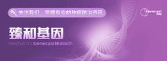 胃癌防治指南：科学预防与精准治疗策略